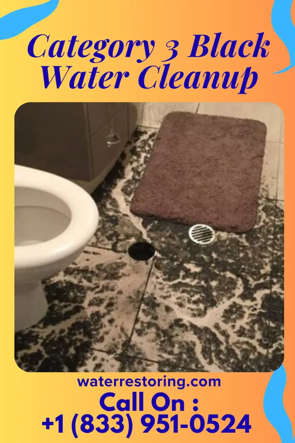 Category 3 Black Water Cleanup in Snelling, SC