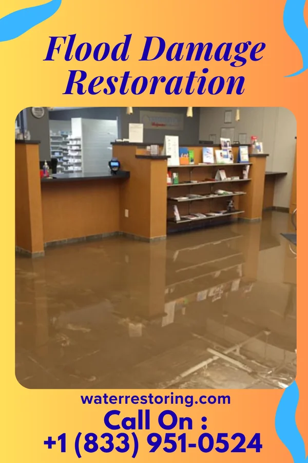 Flood Damage Restoration in Snelling, SC