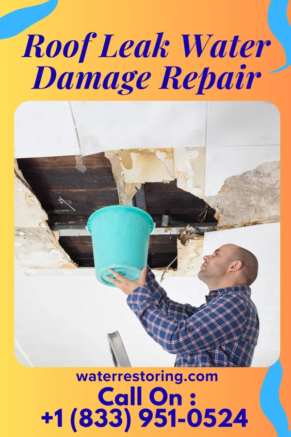 Roof Leak Water Damage Repair in Snelling, SC