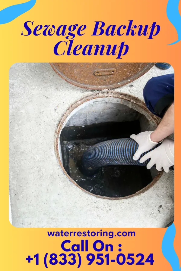 Sewage Backup Cleanup in Snelling, SC