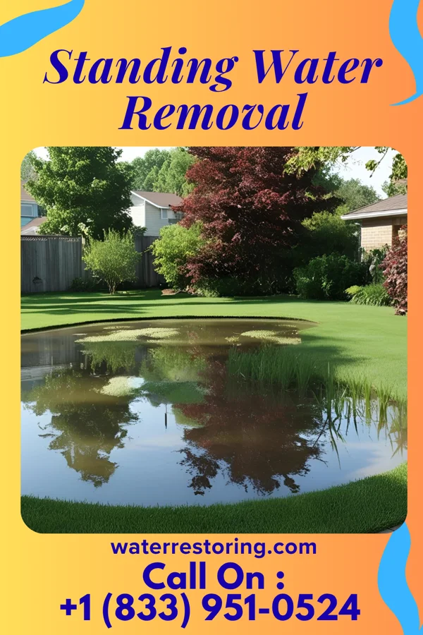 Standing Water Removal in Snelling, SC